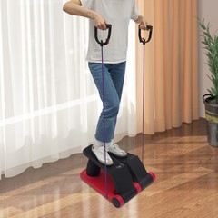 5 Gear Air Twist Stepper Exercise Machine with LCD Display Home Fitness 330 lb