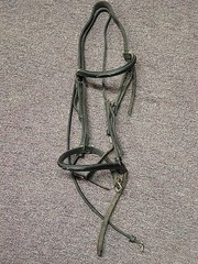 Hunt Seat Bridle