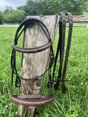 Leaders English Hunter Bridle Raised Leather laced Reins Cob Size – No Flash