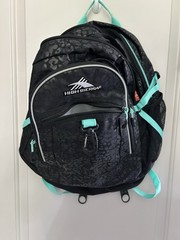 High Sierra Black/Teal Zip Backpack w/ Padded Straps, External Pockets, Logo
