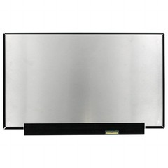 OEM 12.5 inch LCD Screen 1920×1080 Gloss 30pin EDP, IPS