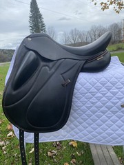 MacRider Arlando Dressage Saddle with Tack Set Up