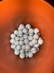 50 TITLEIST PRO V1 & PRO V1X GOLF BALLS | 4A GRADE | CLOSE TO NEW!