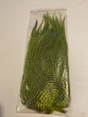 metz saddle grade 2 Grizzly Dyed Chartreuse rooster hackle feather Flat Wing