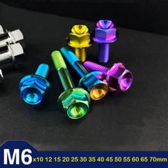 Titanium M6 Bolts Hex Flange Head 10 12 15 20 25 30 35 40 45 50 55-70mm X 1.0mm