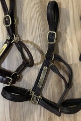 Perris Cob Padded Fancy Stitch Leather Halter
