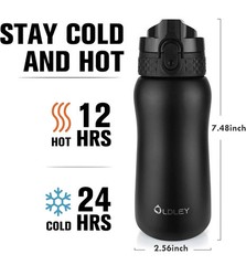 Insulated Water Bottle 12 oz Stainless Steel Water Bottle With Straw & Brush