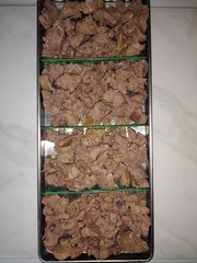 Freeze Dried Roast Beef For Hunting Camping Disasters Prepping Survival