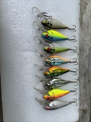 Cotton Cordell Cnc Shad 2 1/2 Inches
