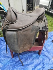 Barefoot Treeless Saddle And Physio pad