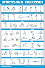 New Stretching Workout Exercise Poster – Stretch Routine (Laminated, 18″…