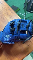 Memphis 44 Pro Glove