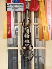 Oversized Figure 8 Schooling Bridle With 5.5” Kimberwick