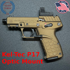 Kel-Tec P17 RMSc Optic Plate [Original Creator]