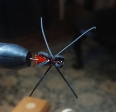 Foam Spider Flies Black and Red Handmade Freshwater Fishing Sold in Sets of 2