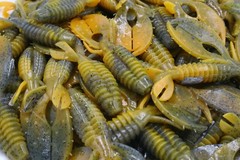 3″ Orange Swirl Craw Flapper Yo Mama Plastic Beaver Creature Baits Bass Fishing