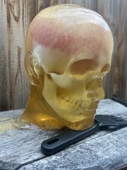 Ballistic Gel Head w/ Skull And Brain NO blood