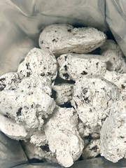 Freeze Dried Ice Cream Scoops Cookies and Creme *Pick Size* Made Fresh To Order