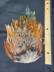 Lot 7, Grade A, Natural India Rooster Saddle Feathers for Fly Tying Jewelry