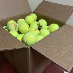 100 Lightly Used Tennis Balls – FREE SHIPPING!