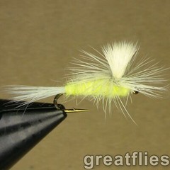 1 dozen (12) – Pale Morning Dun – parachute
