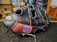 Bullhide Pro KIP Leather Infielder’s Glove NT