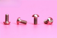 6 X Titanium M5 X 10mm T25 Bolt Head Mtb Road Bike Disc Brake Rotor Bolts Screw