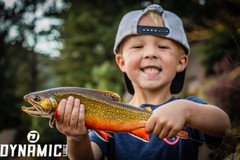 Fishing Lures – Dynamic Lures HD TROUT, Crankbait, 2.25″ Multiple Color Patterns
