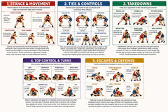 EMAILED Wrestling Techniques Poster Fundamentals Training Guide Coach Gym Decor