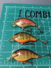 LOT OF 3 VINTAGE NATURALIZED REBEL RATTLING WEE R CRANKBAITS MADE IN USA