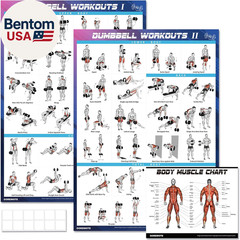 Dumbbell Workout Poster Set 2 Pack 44 Exercises Home Gym Charts 18×24 Waterproof