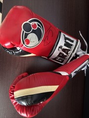 Grant Professional Boxing Gloves Red 10oz With Autograph