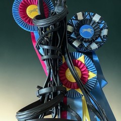 Jumper Dressage Event Bridle O/S Black Fancy Stitch Ergonomic Padded Crownpiece