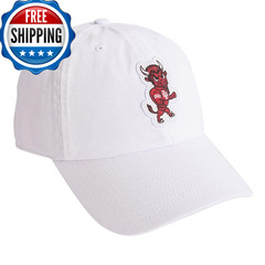 Desert Cactus Indiana University Baseball Hat Hoosiers Bloomington Brimmed