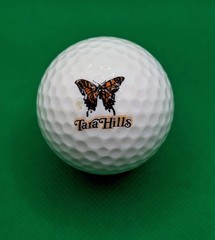Vintage Tara Hills Golf Course logo golf ball (Papillion, Nebraska)