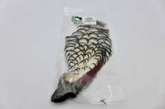 Hareline Dubbin Beautiful WHITE Lady Amherst Head-Feathers Grade 2 Fly Fishing