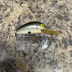 Vintage rebel lure deep humpback humpy rattles crankbait Shad