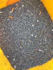 1 lbs assorted lead balls used size 7,8 and some larger for fishing sinkers etc