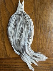 Chanticleer Rooster Cape Grade 2 Unique Variant 579-SH-E-L