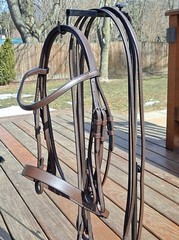 NEW Quality Brown English Saddleseat Flat Weymouth Double Bridle & Reins – COB