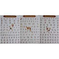 Muay Thai Art Poster 1,2,3 Training chart learning Thai fight kick boxing gym