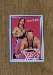 1989-90 WWF Market Scene BRET HART FOUNDATION Superstars of Wrestling Series 3
