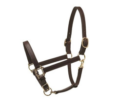 Perris Leather Turnout Halter – Havana – Cob – With FREE personalized Plate