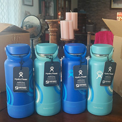 Hydro Flask 32 fl oz Wide Mouth Water Bottle Flex Cap & Boot Stainless Blue/Teal