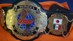 DPW Women’s Championship Belt Wildcat real not replica WWE WWF AEW TNA WCW NWA