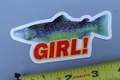 Girl Skateboards Clear Red Yellow Fish Sexy Chocolate Z76B Skateboarding STICKER