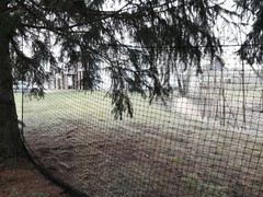 Baseball Softball Backstop Nets Heavy Duty Nylon Sports Netting Barrier 10x7ft