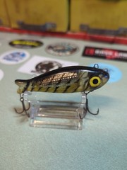 Doug English Bingo Twist. Clear w Black Swirl Yellow Belly. 🔥