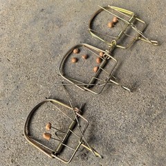 3 Pieces Mouse Traps Rat Mice Killer Snap Trap Power Rodent Heavy Duty Pest Trap