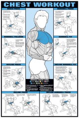 CHEST WORKOUT WALL CHART Professional Bodybuilding Fitness Gym 24×36 POSTER